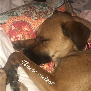 Meet your Posher, Amy